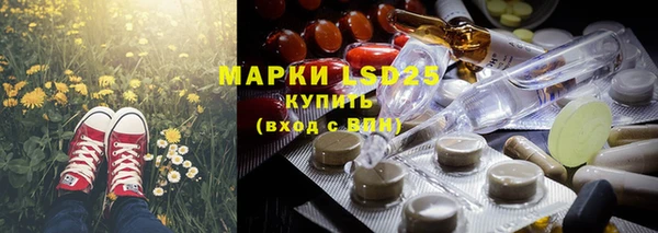 прущие грибы Баксан