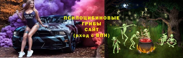 мдпв Балахна