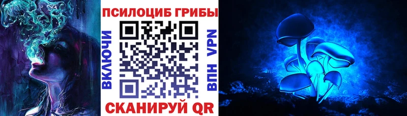 Псилоцибиновые грибы Psilocybine cubensis  hydra tor  Соль-Илецк 
